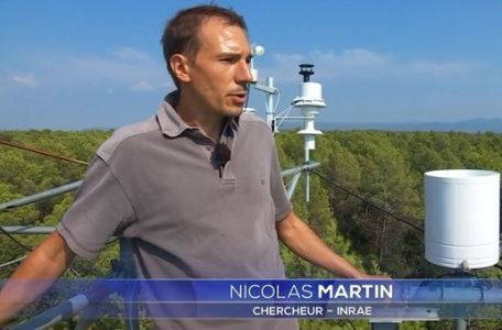 Nicolas Martin Chercheur Fonblanche