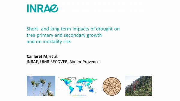 Cailleret_drought-impacts-growth-mortality